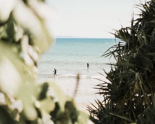 Surfing Bushes